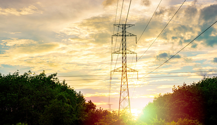 Un camino de luz para méxico